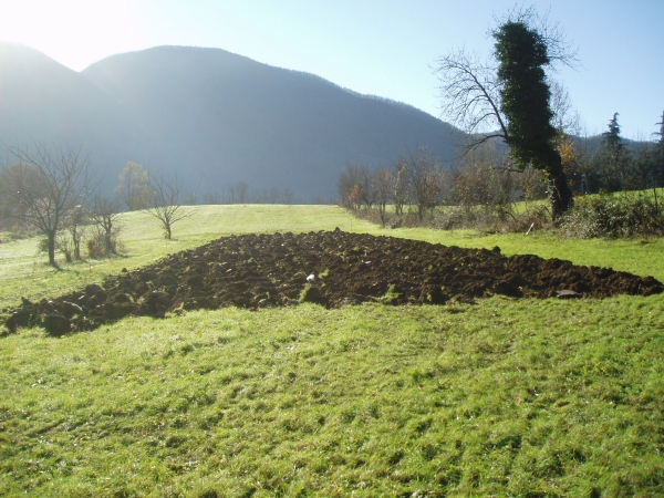 Area archeologica di Marzabotto: parcelle seminate a lino, orzo e favino
