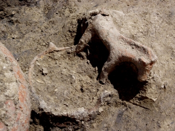 Casalecchio di Reno (BO), scavi 2013. Cavallino in terracotta (VIII sec.a.C.) 