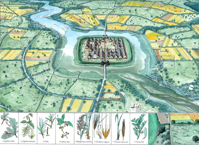 Ricostruzione grafica dell'ambiente nella terramara del Montale