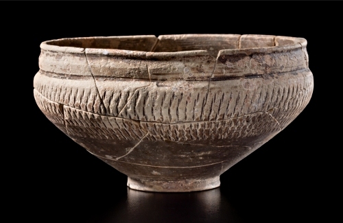 Coppa in ceramica a pareti sottili (seconda metà I sec. d.C.)